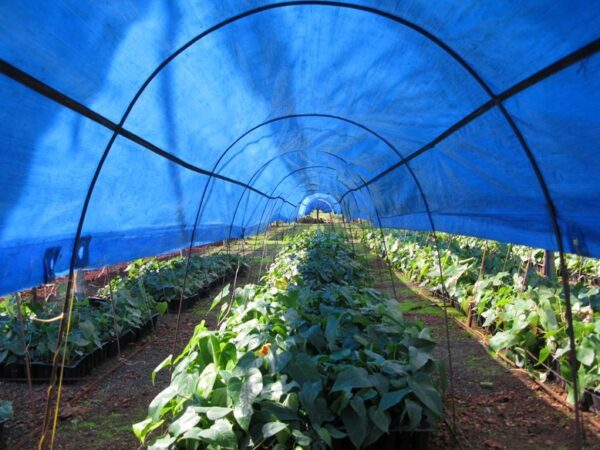 AGRICULTURAL TARPAULIN